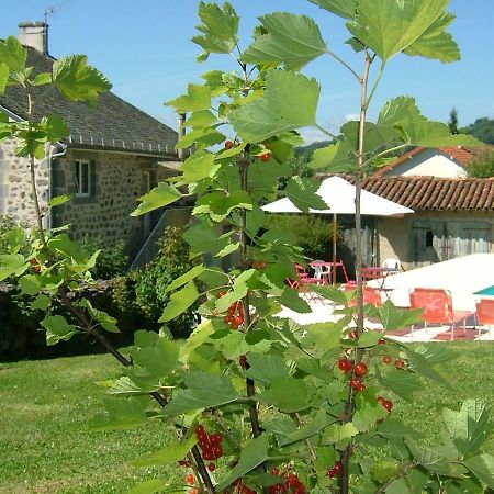 La Maison Pres D'Aurillac Giou-de-Mamou Buitenkant foto
